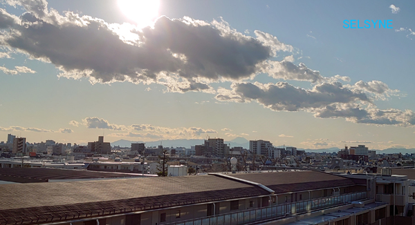 のどかな午後だねー。東京・練馬より