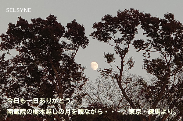 今日も一日ありがとう。南蔵院の樹木越しの月を観ながら・・・、東京・練馬より。