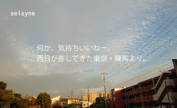 セルシネ・エイム研究所/和田知浩。気持ちいいねー。西日が差してきた・・・ 何か、気持ちいいねー。西日が差してきた東京・練馬より。