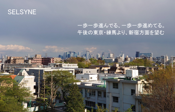 一歩一歩進んでる、一歩一歩進めてる。午後の東京・練馬より、新宿方面を望む