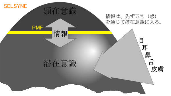 そして、その「カチン」や「癒し」を綾取っているのがＰＭＦ（パーソナル・マインド・フィルター）で、脳の脳幹網様体賦活系が担っています。セルシネのトータルセッションで詳しく解説及び体験を提供しています。人生の運が良くなる楽になる・・・