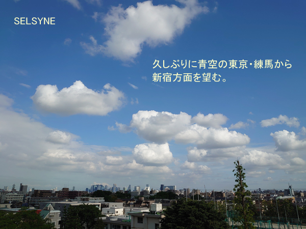 セルシネ・エイム研究所/和田知浩。久しぶりの青空。 久しぶりに青空の東京・練馬から新宿方面を望む。