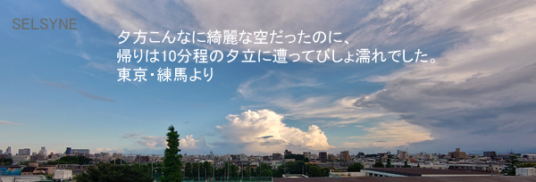 夕方こんなに綺麗な空だったのに、帰りは10分程の夕立に遭ってびしょ濡れでした。東京・練馬より