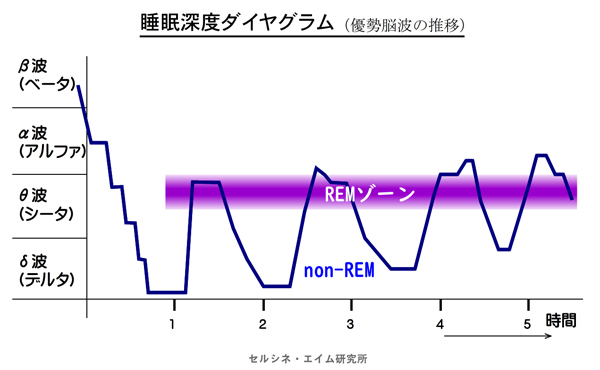 「睡眠深度ダイヤグラム」を更新しました。「脳波測定／脳コン解析サービス」の現場で日々培った研究成果を反映しています。