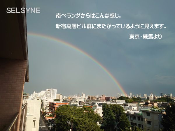 南ベランダからはこんな感じ。新宿高層ビル群にまたがっているように見えます。東京・練馬より