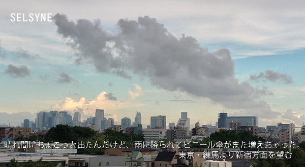 セルシネ・エイム研究所/和田知浩。晴れ間の新宿方面。練馬より 晴れ間にちょこっと出たんだけど、雨に降られてビニール傘がまた増えちゃった。東京・練馬より新宿方面を望む