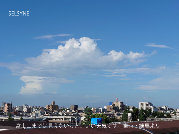 富士山までは見えないけど、いい天気です。東京・練馬より