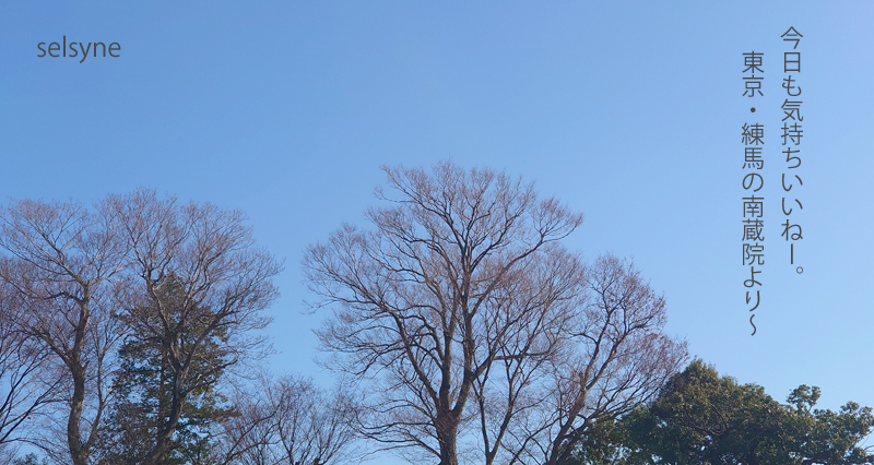 今日も気持ちいいねー。　東京・練馬の南蔵院より～