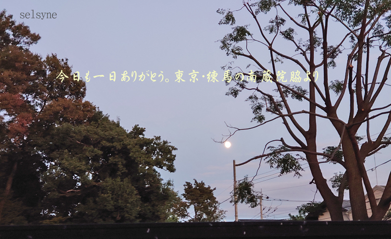 今日も一日ありがとう。東京・練馬の南蔵院脇より