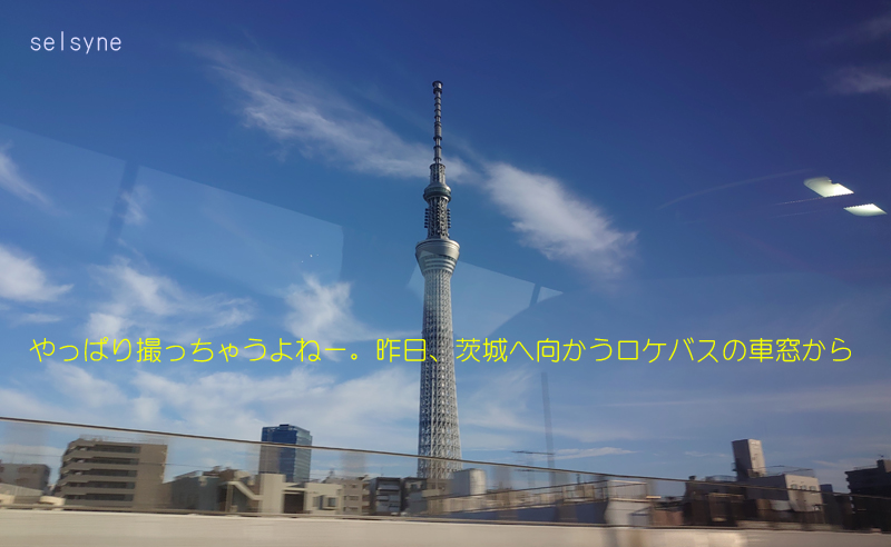 やっぱり撮っちゃうよねー。昨日、茨城へ向かうロケバスの車窓から