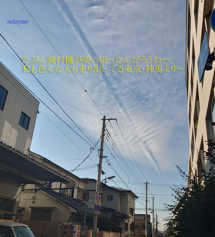 たぶん飛行機が突っ切ったんだろうねー。私も色んな人も走り出してる東京・練馬より～