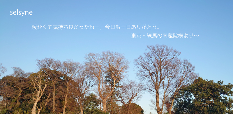 暖かくて気持ち良かったねー。今日も一日ありがとう。東京・練馬の南蔵院横より～