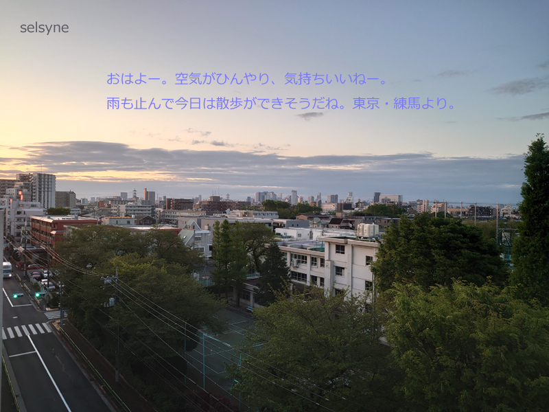 おはよー。空気がひんやり、気持ちいいねー。雨も止んで今日は散歩ができそうだね。東京・練馬より。