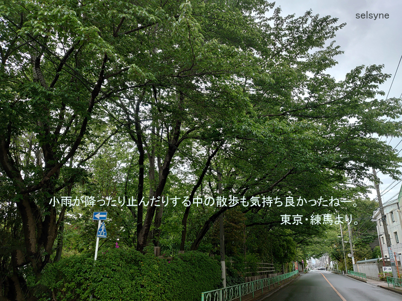 小雨が降ったり止んだりする中の散歩も気持ち良かったねー。東京・練馬より。