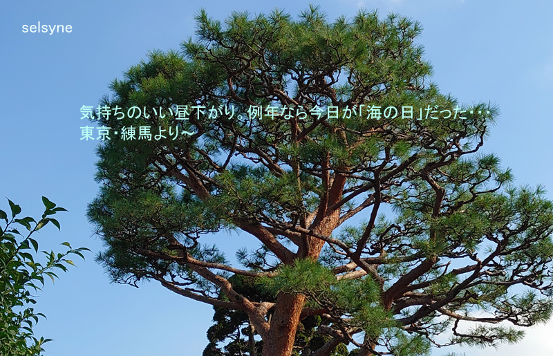 気持ちのいい昼下がり。例年なら今日が「海の日」だった・・・　東京・練馬より～
