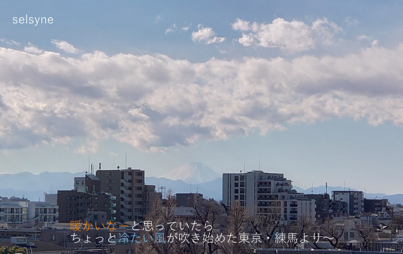 暖かいなーと思っていたらちょっと冷たい風が吹き始めた東京・練馬より～