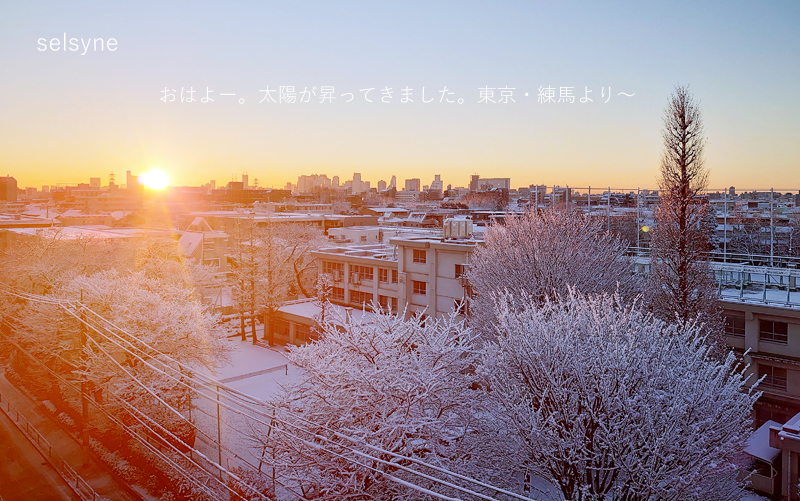 おはよー。太陽が昇ってきました。東京・練馬より～