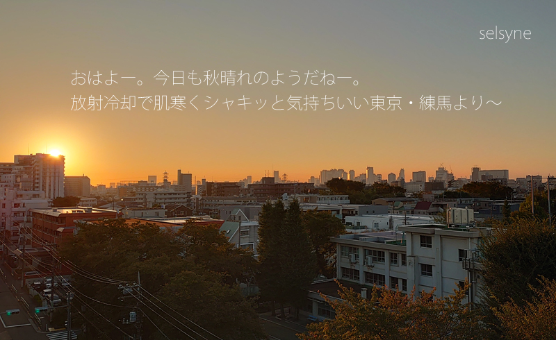 おはよー。今日も秋晴れのようだねー。放射冷却で肌寒くシャキッと気持ちいい東京・練馬より～