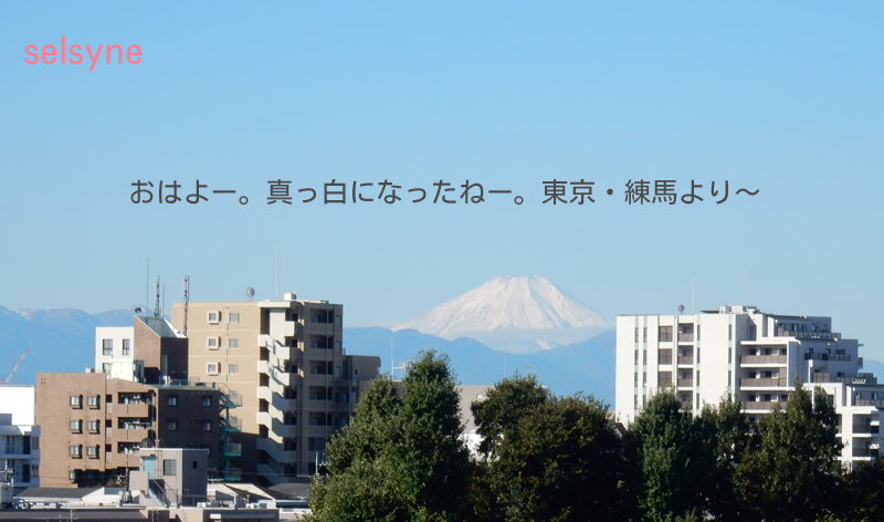 おはよー。真っ白になったねー。東京・練馬より～