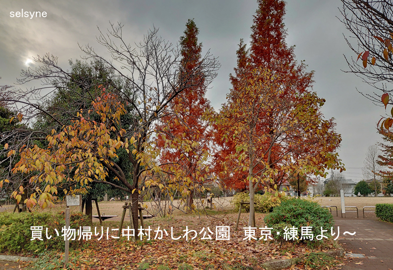 買い物帰りに中村かしわ公園　東京・練馬より～