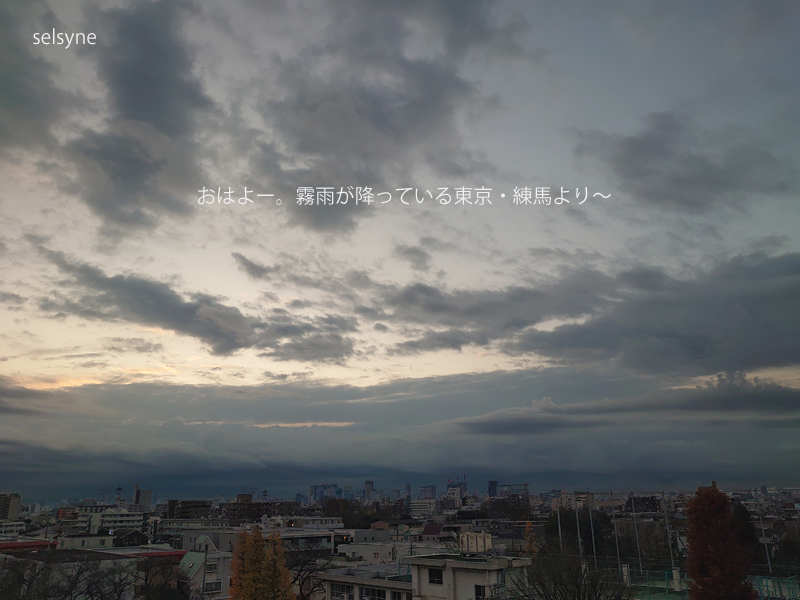セルシネ・エイム研究所/和田知浩。夜明けの霧雨 おはよー。霧雨が降っている東京・練馬より~