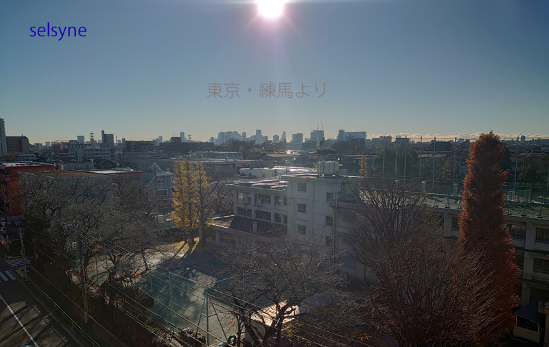 セルシネ・エイム研究所/和田知浩。東京・練馬より 東京・練馬より