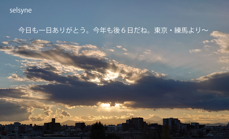 今日も一日ありがとう。今年も後６日だね。東京・練馬より～