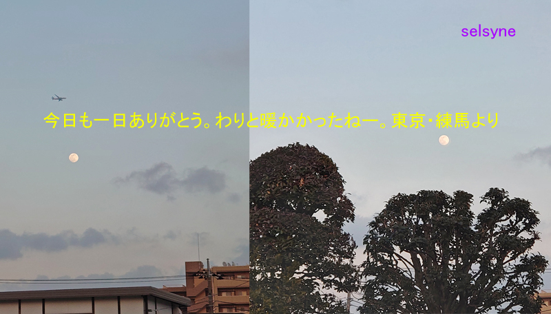 今日も一日ありがとう。わりと暖かかったねー。東京・練馬より