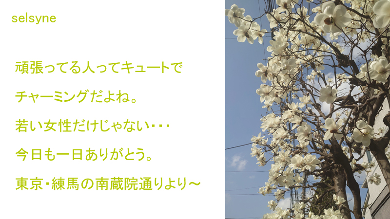 頑張ってる人ってキュートでチャーミングだよね。若い女性だけじゃない・・・　今日も一日ありがとう。東京・練馬の南蔵院通りより～