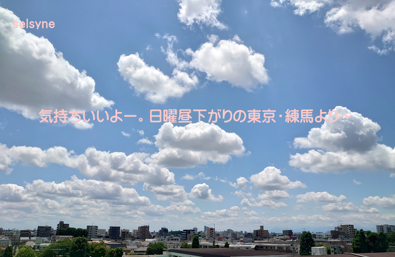 気持ちいいよー。日曜昼下がりの東京・練馬より～