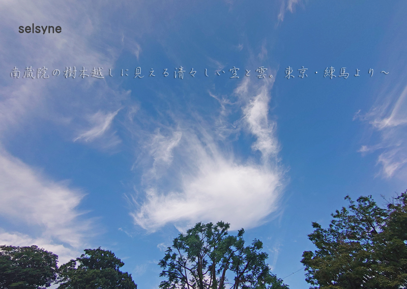 南蔵院の樹木越しに見える清々しい空と雲。東京・練馬より～