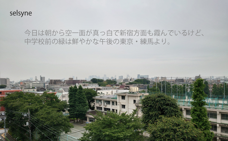 今日は朝から空一面が真っ白で新宿方面も霞んでいるけど、中学校前の緑は鮮やかな午後の東京・練馬より。