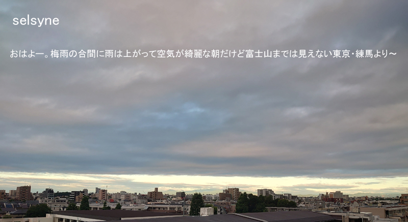 おはよー。梅雨の合間に雨は上がって空気が綺麗な朝だけど富士山までは見えない東京・練馬より～