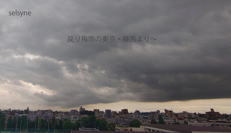 戻り梅雨の東京・練馬より～