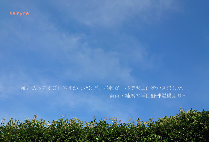 風もあってすごしやすかったけど、荷物が一杯で沢山汗をかきました。東京・練馬の学田野球場横より～