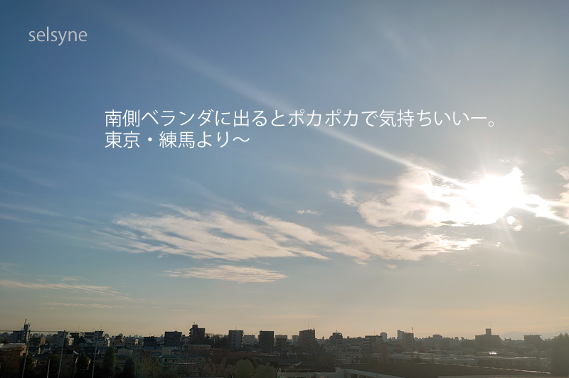 南側ベランダに出るとポカポカで気持ちいいー。東京・練馬より～