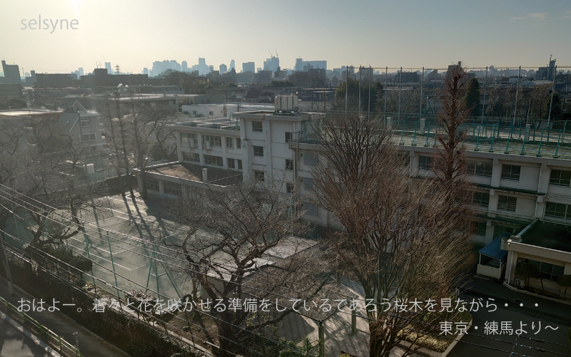 おはよー。着々と花を咲かせる準備をしているであろう桜木を見ながら・・・　東京・練馬より～