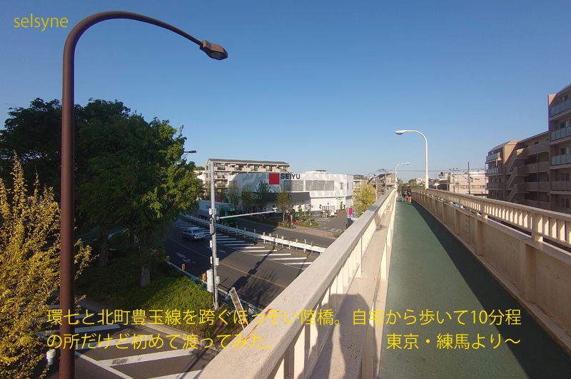 環七と北町豊玉線を跨ぐほっそい陸橋。自宅から歩いて10分程の所だけど初めて渡ってみた。  東京・練馬より～