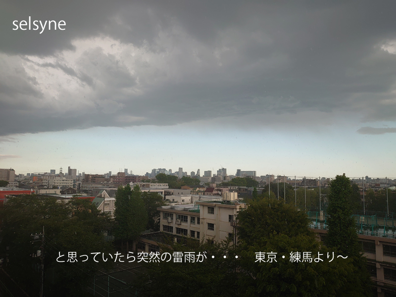 と思っていたら突然の雷雨が・・・　東京・練馬より～