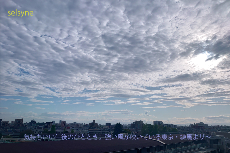 気持ちいい午後のひととき。強い風が吹いている東京・練馬より～