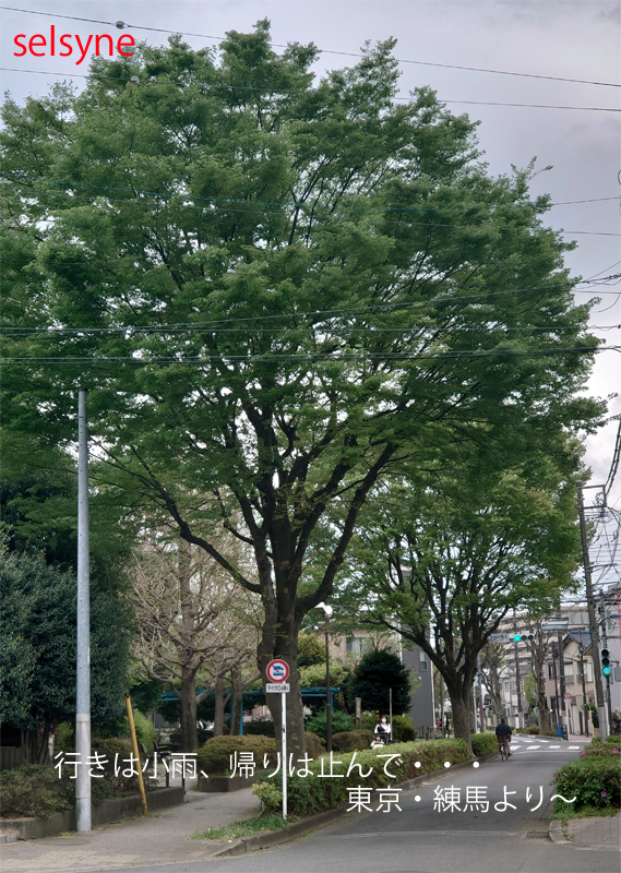 行きは小雨、帰りは止んで・・・　東京・練馬より～