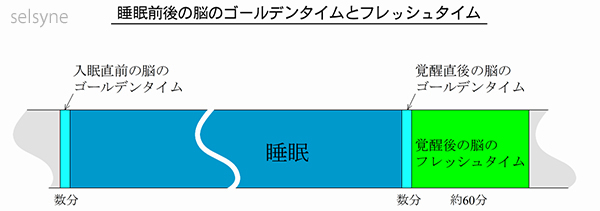 今も昔も朝食の大切さが説かれますが、朝飯前も脳にとっては宝の時間（トレジャータイム）です。起床後１時間のフレッシュタイムを大切に！ 脳波研究家より～