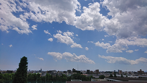 のどかだなー。あっ、北風が強くなってきた・・・東京・練馬