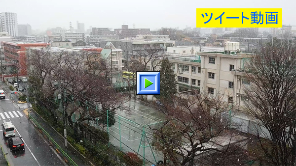 突然の雪にビックリ！　東京・練馬より～