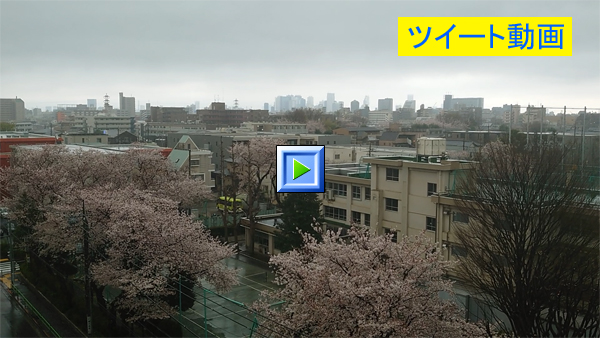 雨が降り出した東京・練馬より