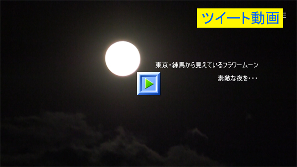 東京・練馬から見えているフラワームーン　素敵な夜を・・・